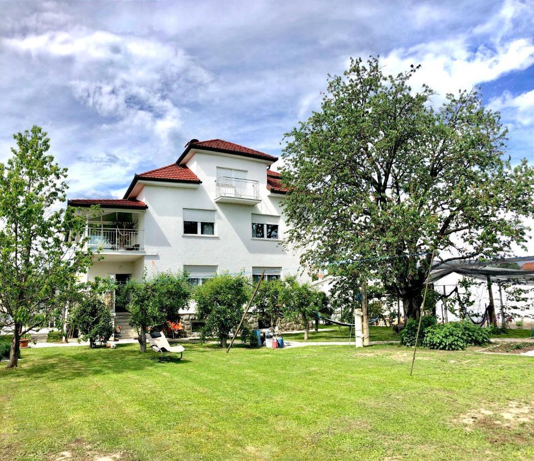 Apartments Andrej - Oפטוי מראה חיצוני תמונה